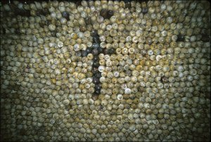 Nahua Corn Storage, 1985